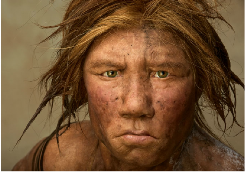 neanderthal-1.PNG