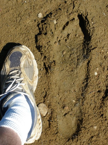 Footprint.JPG