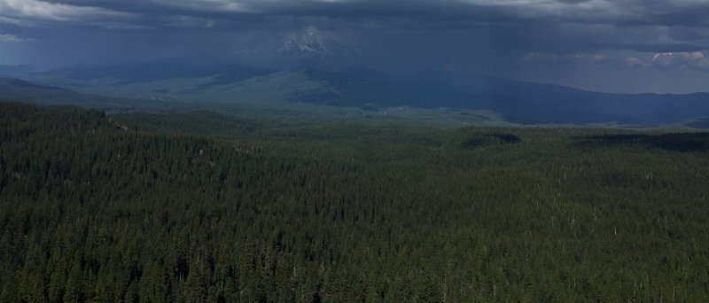 Mt Adams view from Indian Heaven.JPG