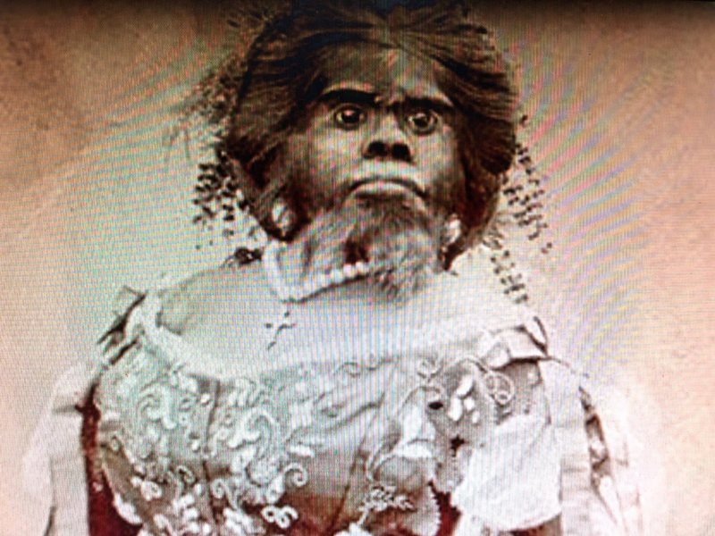 Wild Woman of Borneo - Corcus Pic 1.jpg