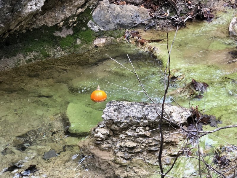 Pumpkin Creek.jpg