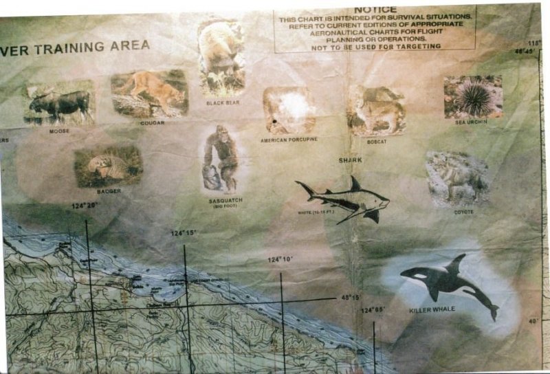 Sasquatch on military map 3.jpg