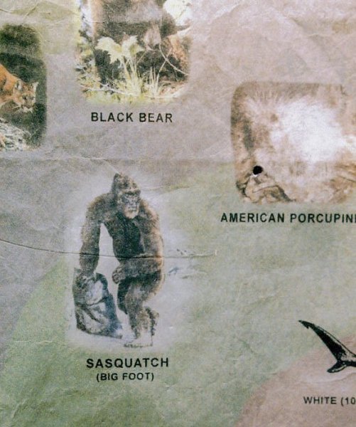 Sasquatch on military map 1.jpg