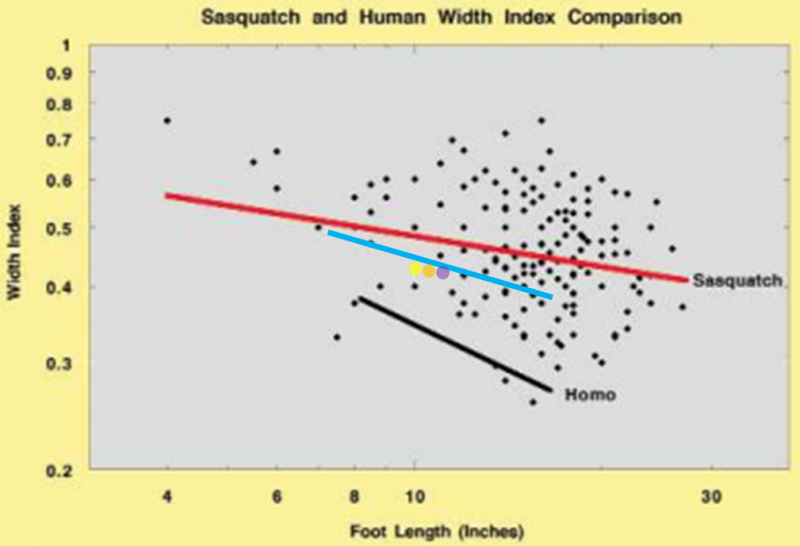 Unshod vs. shod graph.png