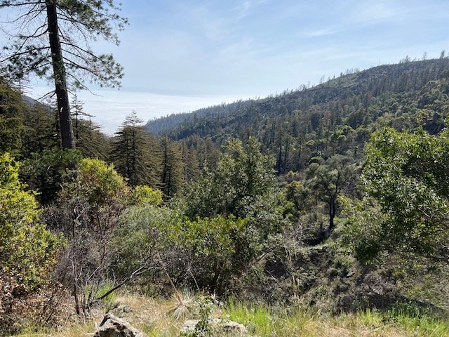 View West from Stone Ridge Trail.JPG