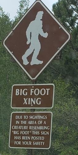 bigfoot-crossing.jpg